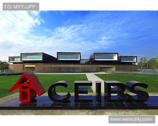 杭州极限运动队实力大揭秘各队员表现全面对比分析MBA